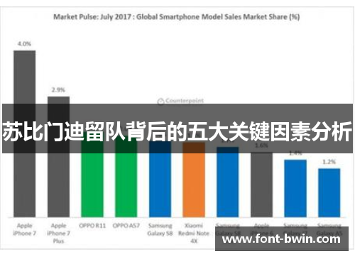 苏比门迪留队背后的五大关键因素分析