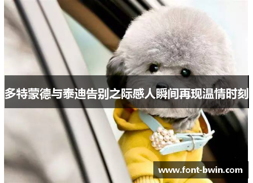 多特蒙德与泰迪告别之际感人瞬间再现温情时刻