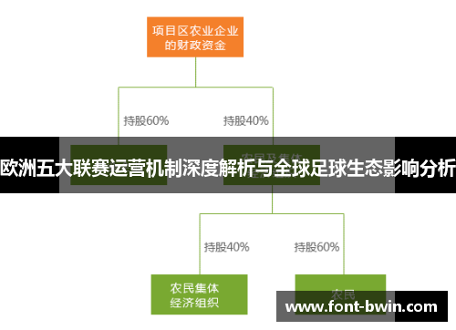 欧洲五大联赛运营机制深度解析与全球足球生态影响分析
